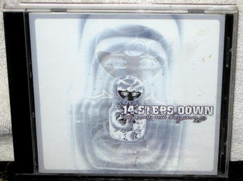 14 STEPS DOWN "Something You Can't Hide" CD 14 STEPS DOWN "Something You Can't Hide" CD